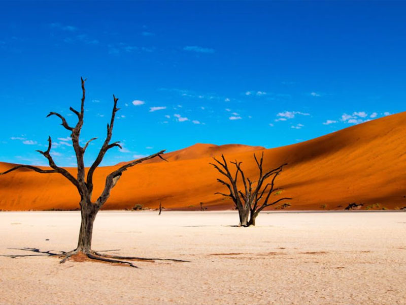 苏丝斯黎红沙漠 Sossusvlei | 世界最古老的沙海