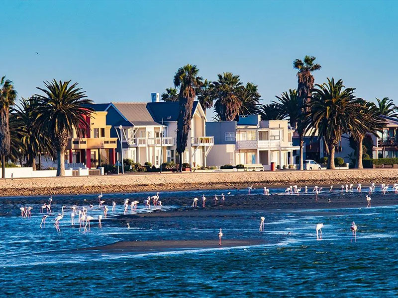 鲸湾港 Walvis Bay | 沙海相连的极致探险